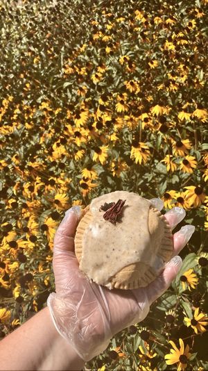 Peach Cardamom Pop-Tarts  at Samosa Shack in Kingston