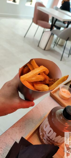 French fries home made at Vegetal Food Court in Paris