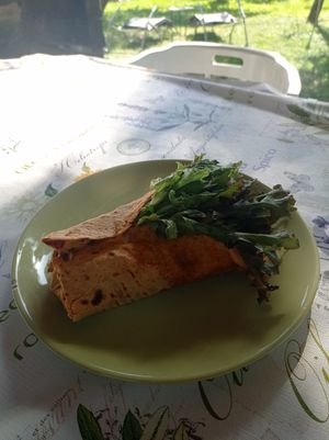 Roll with vegetables and hummus at Menedék in Ispank