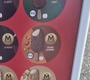 Vegan almond magnum at Caban Mwnt in Cardigan