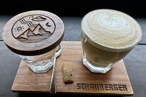 Mushroom latte  at Schauberger in Ubud
