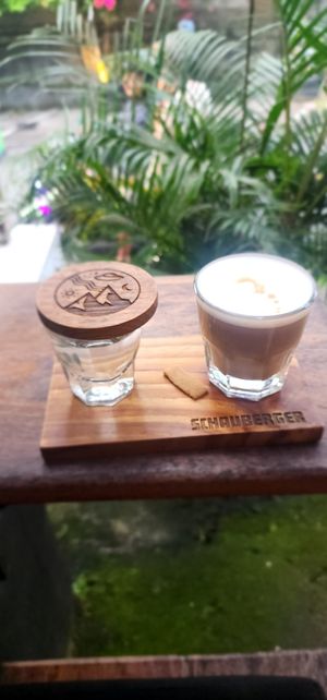 Flat White at Schauberger in Ubud