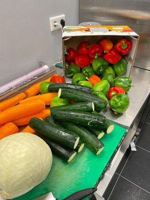  at Klein Afrika in Dordrecht