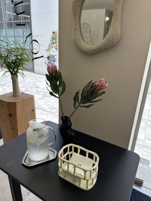 Australian Banksias  at ARP - 아르프 in Busan