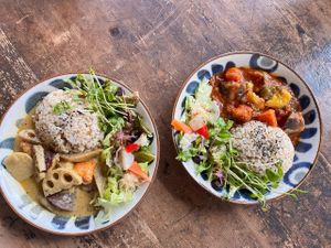 two vegan lunch options at mobile in Tsuruta