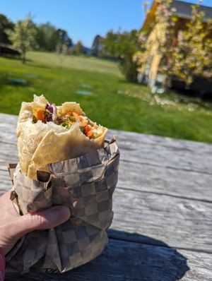 Peanut pepper wrap with bell peppers left out and celery added. at Vortex Juice Bar and Cafe in Lopez Island