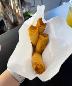 spring rolls   at Stone Monkey in El Cajon
