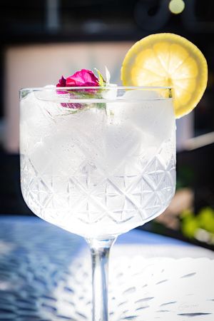 Gin and Tonic  at NEKED Food in Free State