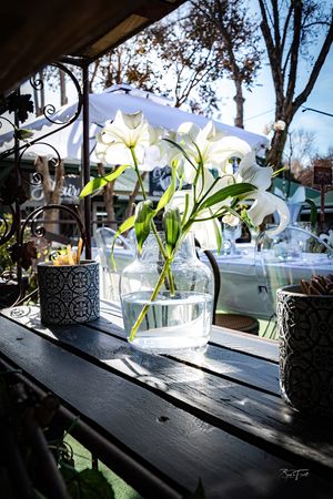 Flowers at NEKED Food  at NEKED Food in Free State