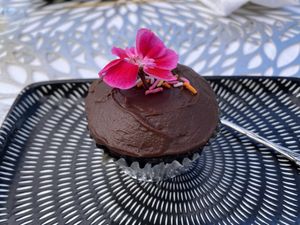 Chocolate cupcake (needed more frosting!)  at NEKED Food in Free State