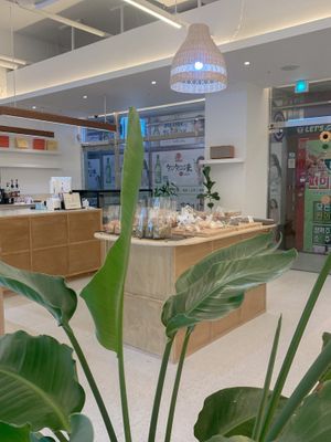  at Another Vegan 아너더비건 in Changwon