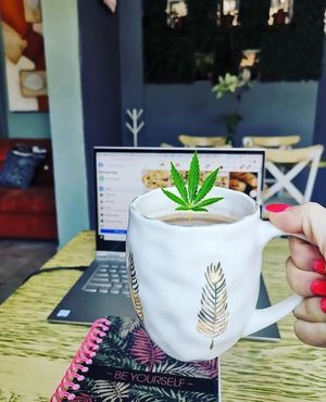 Cafe CBD at Mini Hotel 1920 in San Luis Potosi