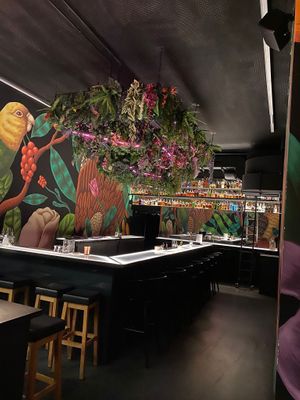 Bar downstairs at Flip n Dip in Vienna