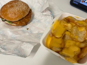 chicken burger & cheese fries (so good)  at Flip n Dip in Vienna