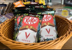   at Jungle Electric in East London