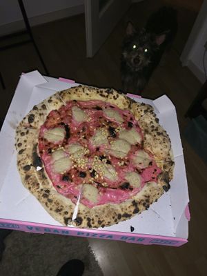   at RAZZO Vegan Pizza Bar in Cologne