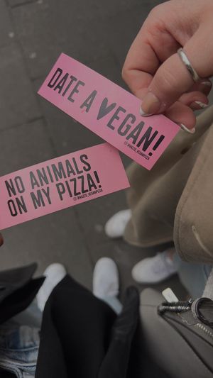   at RAZZO Vegan Pizza Bar in Cologne