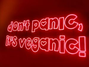  at RAZZO Vegan Pizza Bar in Cologne