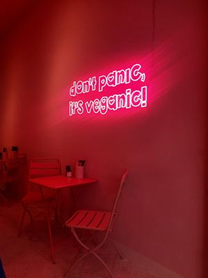  at RAZZO Vegan Pizza Bar in Cologne