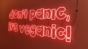  at RAZZO Vegan Pizza Bar in Cologne