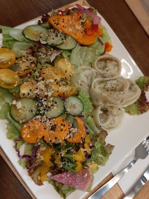 Gyoza plate. Nore: usually comes with rice, but they ran out when we were there at Zirael Vegan Restaurant in Kyoto