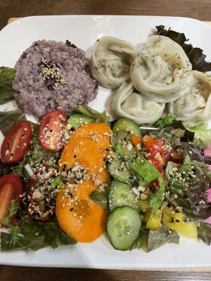 Delicious dumplings, salad and rice    at Zirael Vegan Restaurant in Kyoto