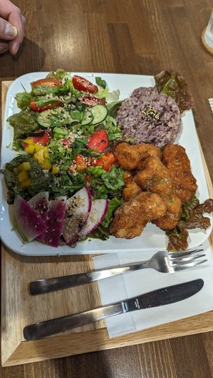  #Veganuary at Zirael Vegan Restaurant in Kyoto