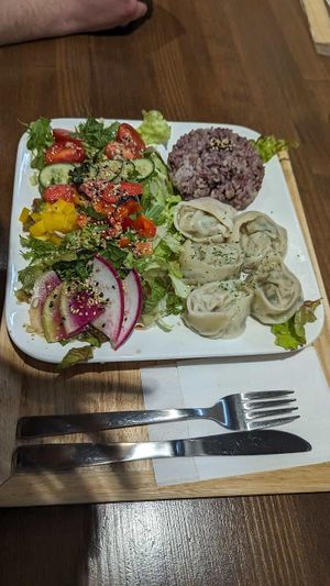  #Veganuary at Zirael Vegan Restaurant in Kyoto