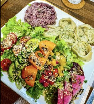 Dumpling plate  at Zirael Vegan Restaurant in Kyoto