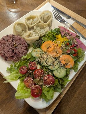 The dumplings. at Zirael Vegan Restaurant in Kyoto