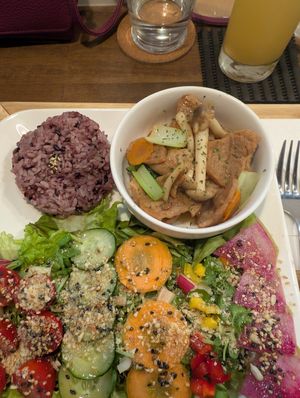 Ginger soy meat! at Zirael Vegan Restaurant in Kyoto