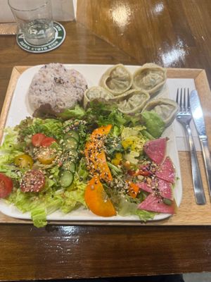 Loved this restaurant! Delicious super fresh salad with 16 different plants served with rice and yummy dumplings (or other protein options) and the owners were the nicest people!!! at Zirael Vegan Restaurant in Kyoto
