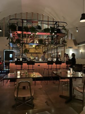  #Veganuary at Good Intentions in St Petersburg