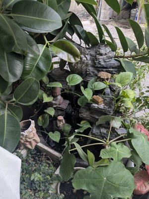  at Heal & Celeb Vegan Restaurant in Ho Chi Minh City