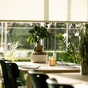  at Green Bistrot in Guimaraes