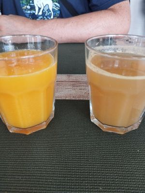Kombucha maison et jus de orange at Green Bistrot in Guimaraes