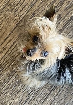   at Hay Amor in Maldonado