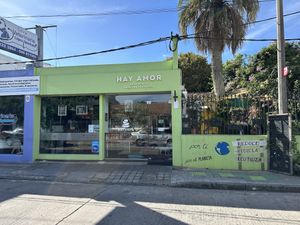   at Hay Amor in Maldonado