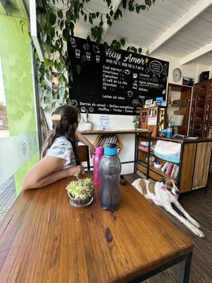   at Hay Amor in Maldonado