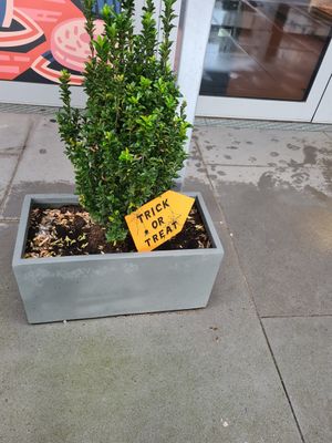  at Brammibal's Donuts - Altona  in Hamburg