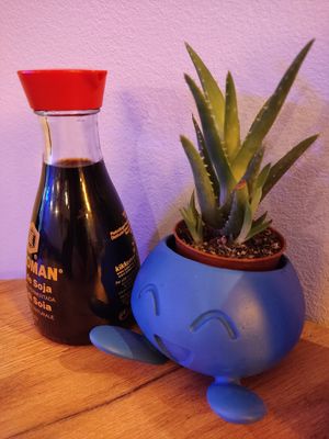  at Modoki Funky Roll in Barcelona