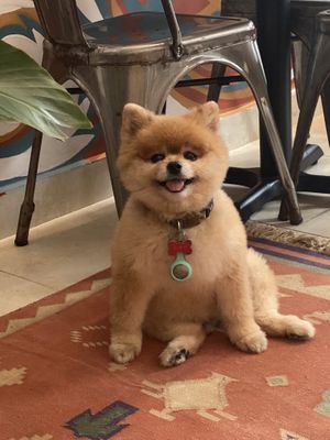   at The Vegan Shack in Panama City