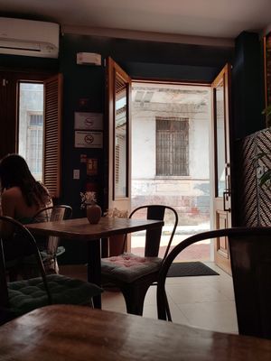  at The Vegan Shack in Panama City