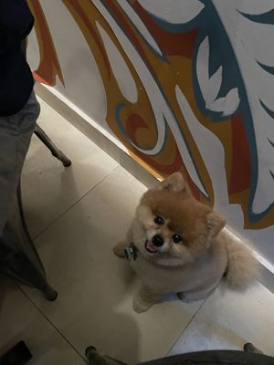   at The Vegan Shack in Panama City