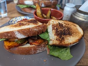 TLT at The Vegan Shack in Panama City
