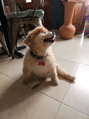  at The Vegan Shack in Panama City