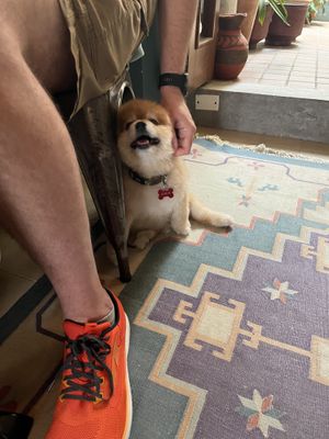 ¡Peque! ❤️  at The Vegan Shack in Panama City