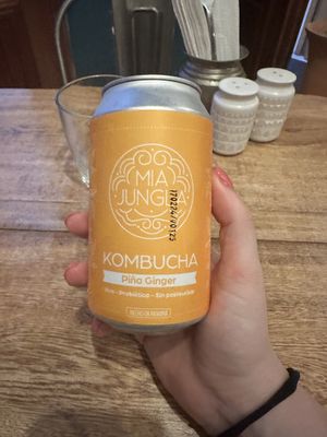 Pine apple ginger kombucha   at The Vegan Shack in Panama City