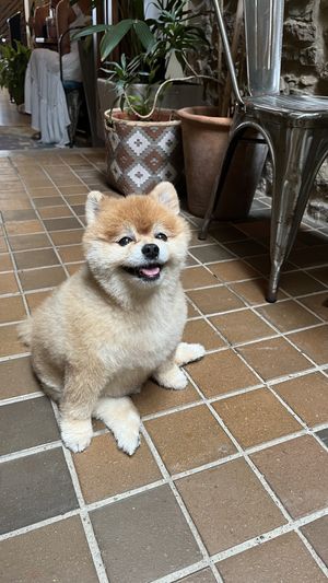   at The Vegan Shack in Panama City