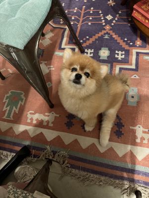   at The Vegan Shack in Panama City